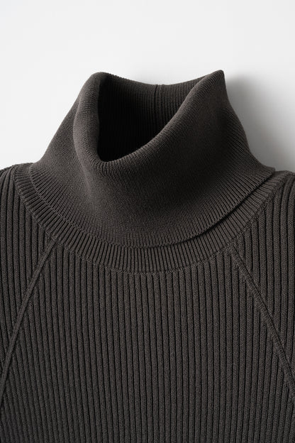 Pleasant rib turtle sweater (Charcoal)