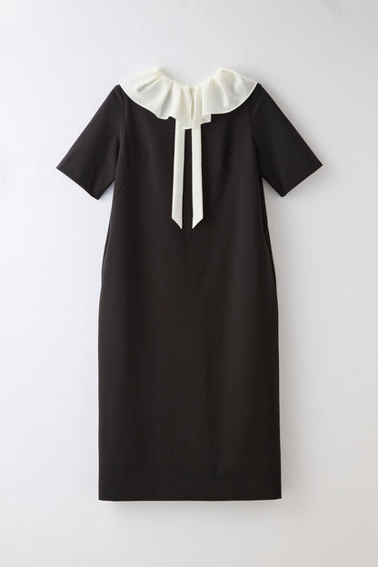 Chiffon collar dress（Black）