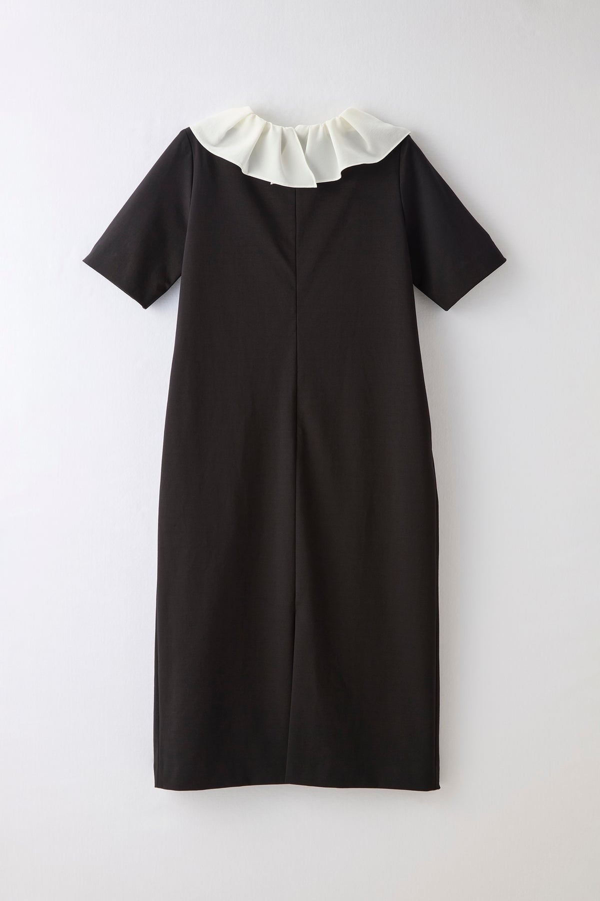 Chiffon collar dress（Black）