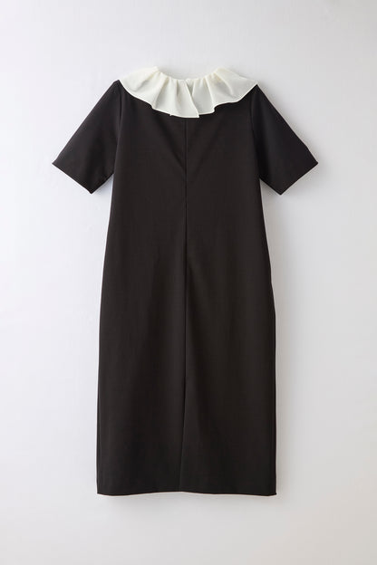 Chiffon collar dress（Black）